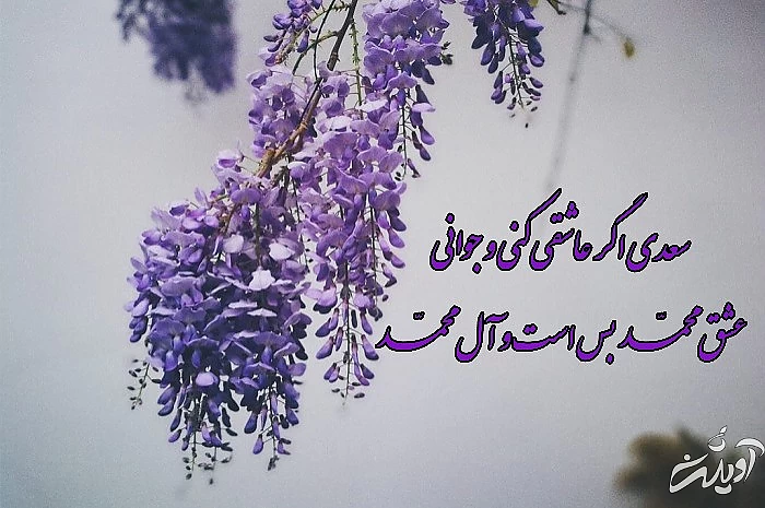 عکس امام صادق
